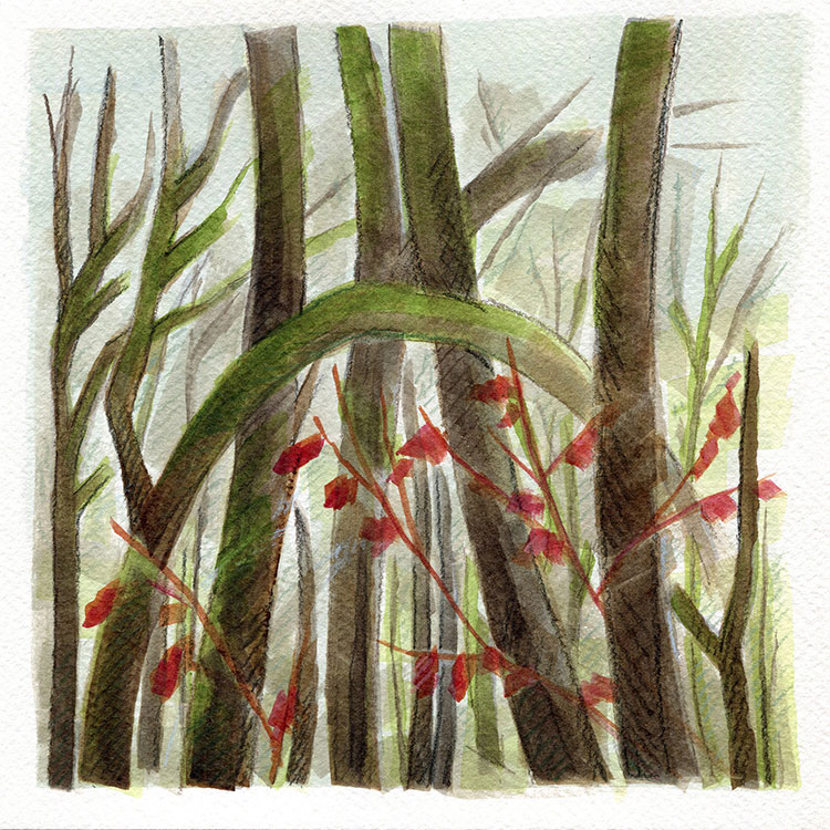 watercolor painting by Alexandria Levin