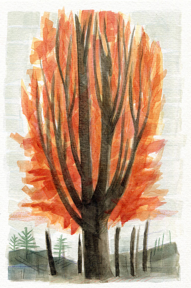 watercolor painting by Alexandria Levin