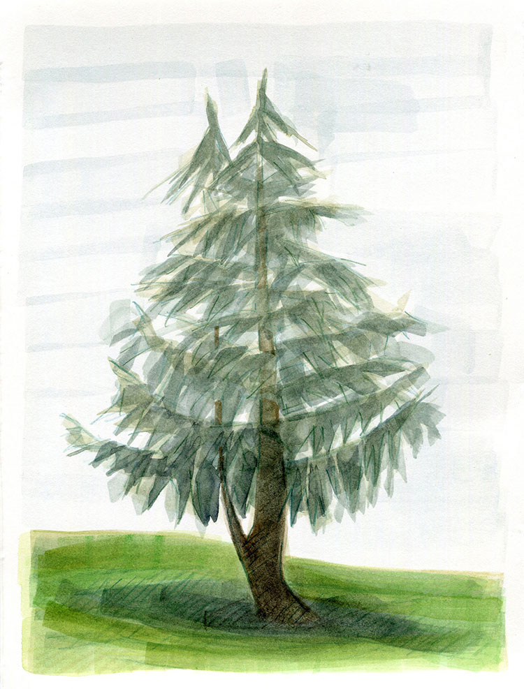 watercolor painting by Alexandria Levin