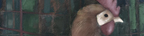 painting detail by Alexandria Levin