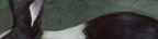 painting detail by Alexandria Levin
